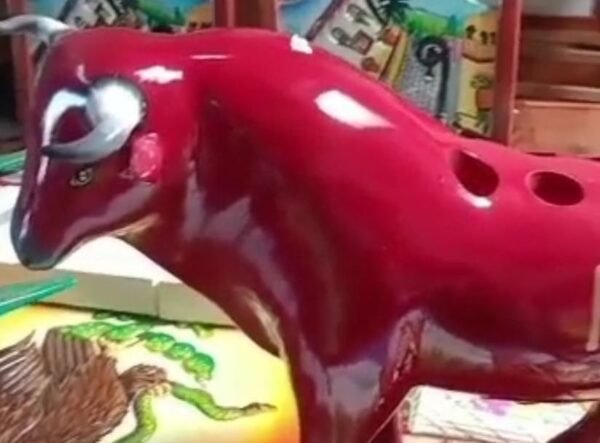 toro rojo portashots